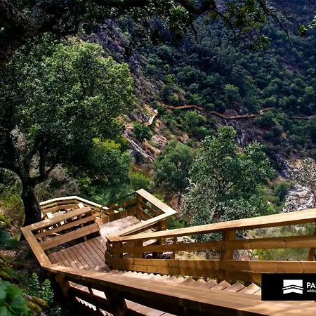 Casinha Das Oliveiras - A 300 Metros Dos Passadicos Do Paiva * Espiunca