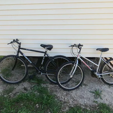 Casinha Das Oliveiras - A 300 Metros Dos Passadicos Do Paiva Prázdninový dům Espiunca